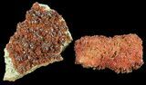 Flat: Ruby Red Vanadinite Crystals on Barite - Pieces #61633-1